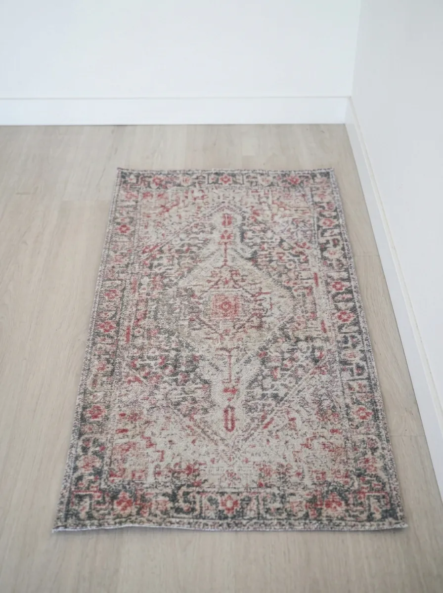 Rug before cleaning